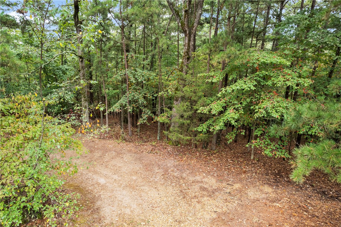 Ventris Acres Unit 1 Rurban - Land