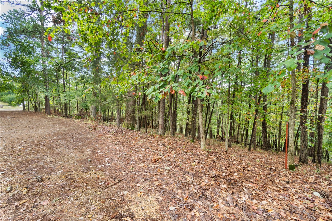 Ventris Acres Unit 1 Rurban - Land