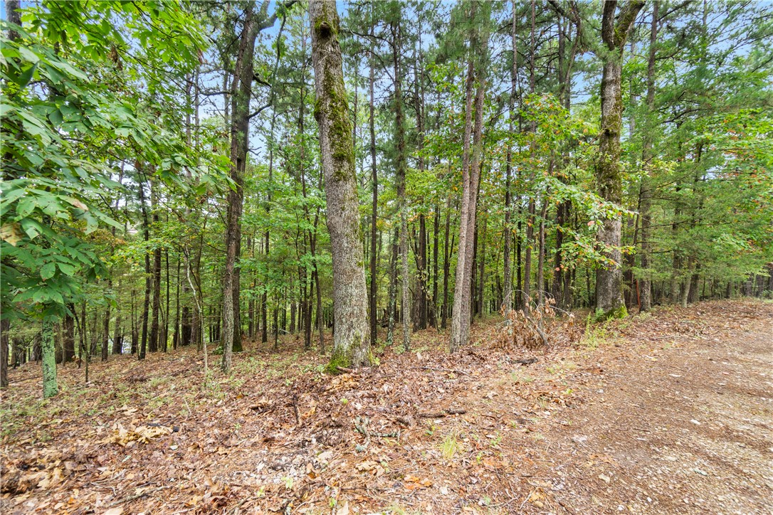 Ventris Acres Unit 1 Rurban - Land