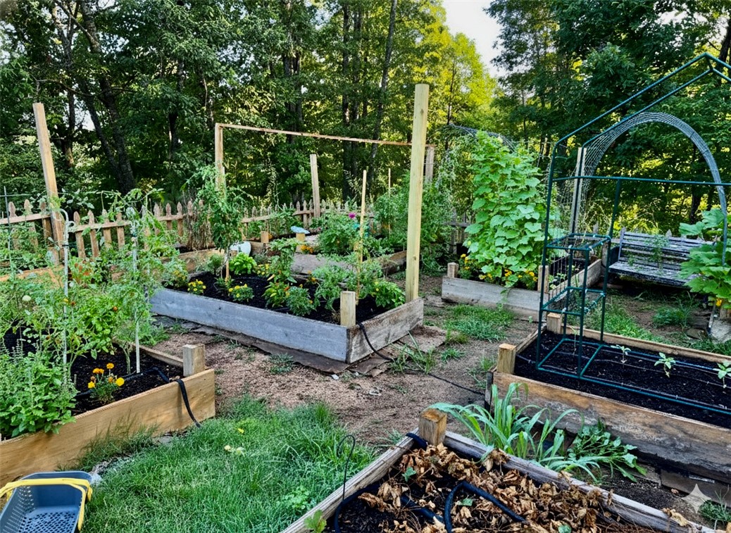 Tract 3 - Residential