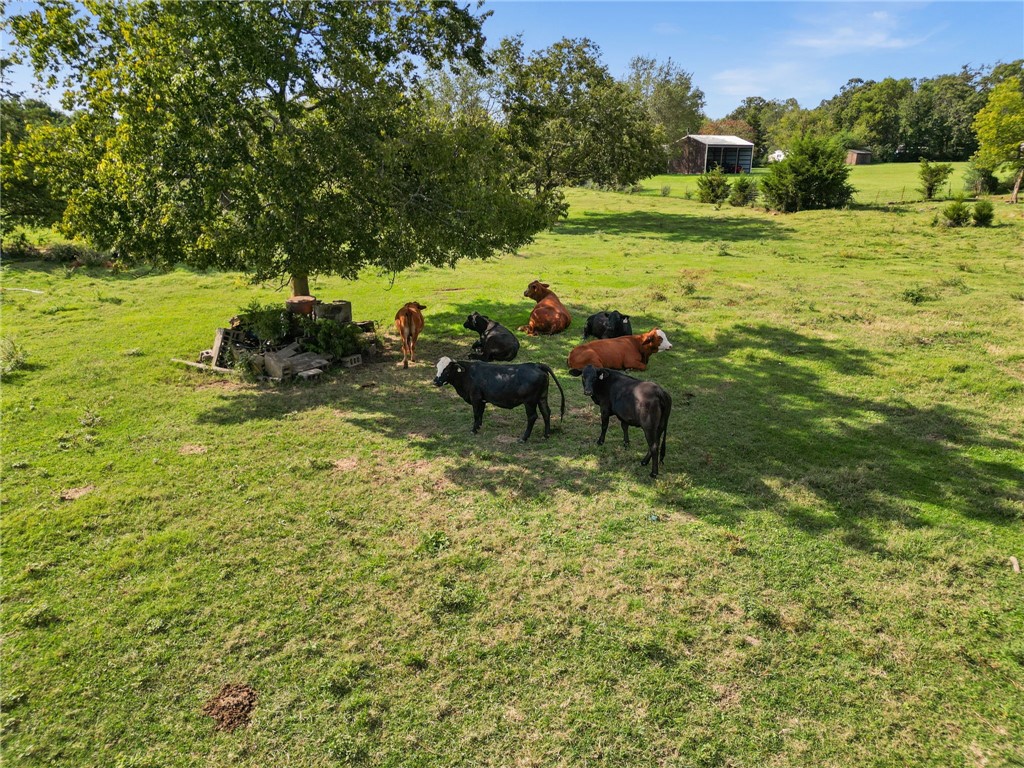Springdale Outlots - Residential