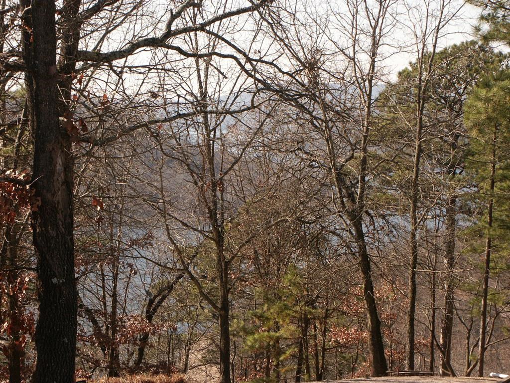 Good building lot with paved highway access. Close to other homes and very close to the fire station. Solid view of Beaver Lake will be even better when you clear to build your house. Community water comes from the subdivision water system. The grassy area adjacent to the road is a water easement and a house can not be built there.