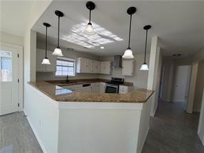 Central Village - Residential