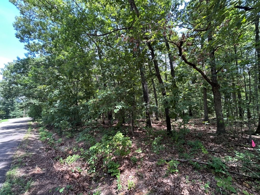 Rare double lot totaling 0.53 acres on quiet Beccles Ln—plenty of space to build with privacy and wooded charm. The Back 40 Trail is just beyond the POA land behind the property, offering nearly backyard access with only a short walk through the trees. Enjoy mountain biking or hiking right from your neighborhood! This gently sloped lot combines natural beauty with direct trail convenience. This lot offers a great opportunity to build your home near one of Bella Vista’s premier trail systems. Enjoy peaceful seclusion with access to Bella Vista’s lakes, golf, and amenities.