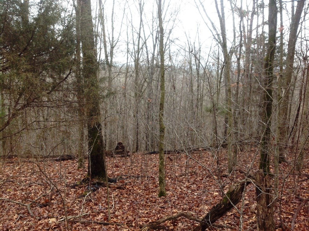 There is a demand for mid-sized parcels served by paved roads with no building restrictions. Yet close to the lake. Lot is in Posy Mountain Ranch, but is exempt from Covenants, building restrictions and Assessments. Own your own 7.60 acres; build up along the roads, and hike or ride your ATVs on your abundant rolling sloping acreage behind you. If build site situated right, and some selective tree trimming, one should get a picturesque vista view of hills and valleys. Land has been successfully perc-tested - see attachments. Benton County Water District line is across the street. or could drill own water well.