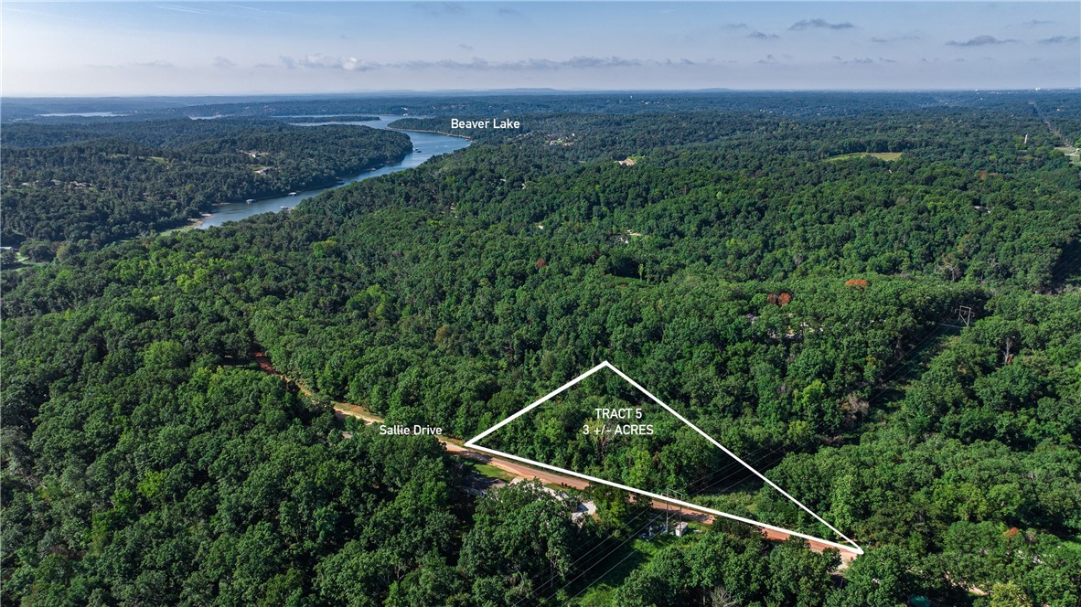 3(+/-) acres of wooded land to build your weekend getaway or wooded seclusion residence/retreat. Drive to the end of Sallie Dr to Beaver Lake for partial access to water.