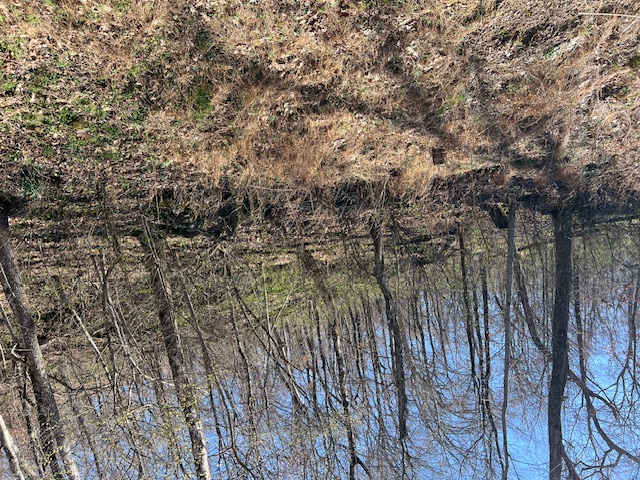 Unit 11 Holiday Island - Land