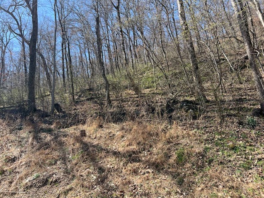 Very nice 0.29 acre lot.  Steep upslope with great views from the back of the lot.  Very buildable lot.  Amenities in Holiday Island include 2 golf courses, country club, marina, fishing docks, recreation center, pickleball courts, parks, walking trails and more.  Don't miss your opportunity to own a piece of the Ozarks today.