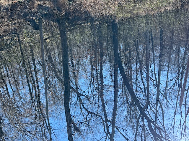 Unit 11 Holiday Island - Land