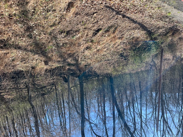 Unit 11 Holiday Island - Land