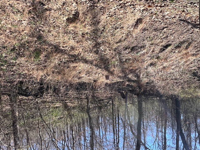 Unit 11 Holiday Island - Land