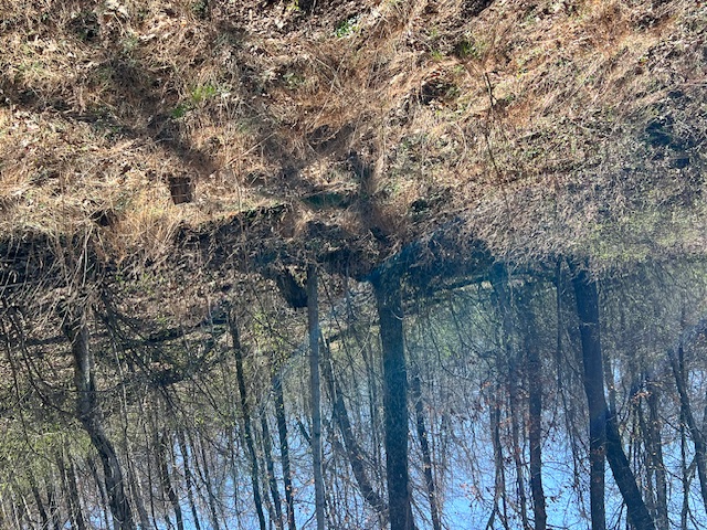 Unit 11 Holiday Island - Land