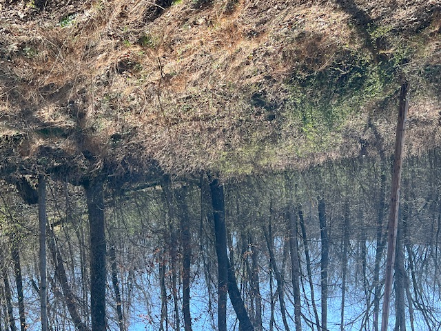 Unit 11 Holiday Island - Land