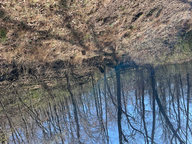 Unit 11 Holiday Island - Land