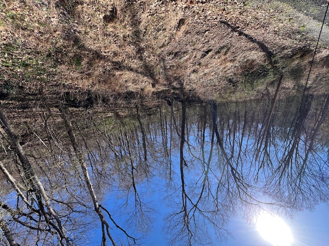 Unit 11 Holiday Island - Land