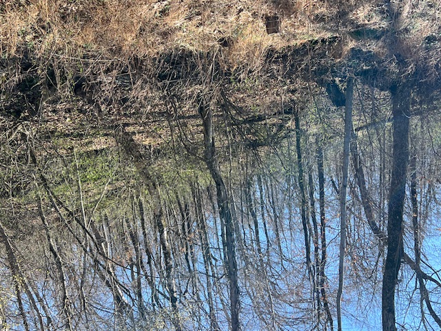 Unit 11 Holiday Island - Land