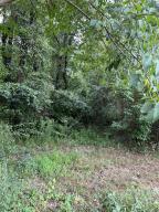 2 Acre M/L Lot to build your dream home on!Water and Electric at the street.