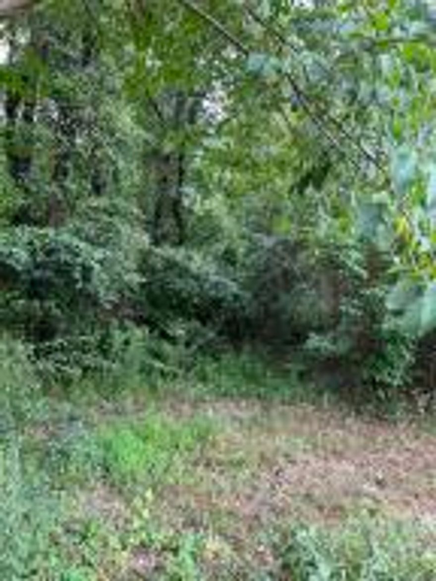 2 Acre M/L Lot to build your dream home on!Water and Electric at the street.