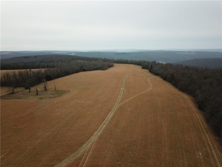 Looking for a top of the mountain retreat?  175 acres of hardwood timber and pasture, large pond, several springs.  Views from the top for miles, large north-south field long enough for an airstrip.  Loaded with deer, turkey, and bear.  Been in the family for several generations, first time on the market, must see to appreciate.  More land available.