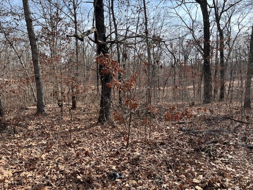 Nice wooded lot located in a quiet area with no immediate neighbors.  Peaceful and nice with a natural setting.  Close to several trails. Convenient to all Bella Vista amenities.  Bentonville Schools.  Utilities could be available for new home construction: Carroll Electric; Bella Vista Public Water; Septic system would be needed; Propane tank would be needed if not all-electric home.