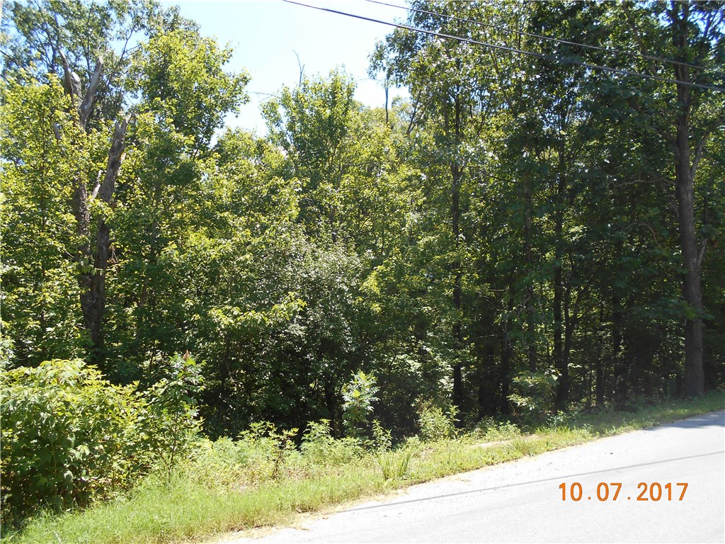 Great area. close to golf and club house. Flat lot Sewer