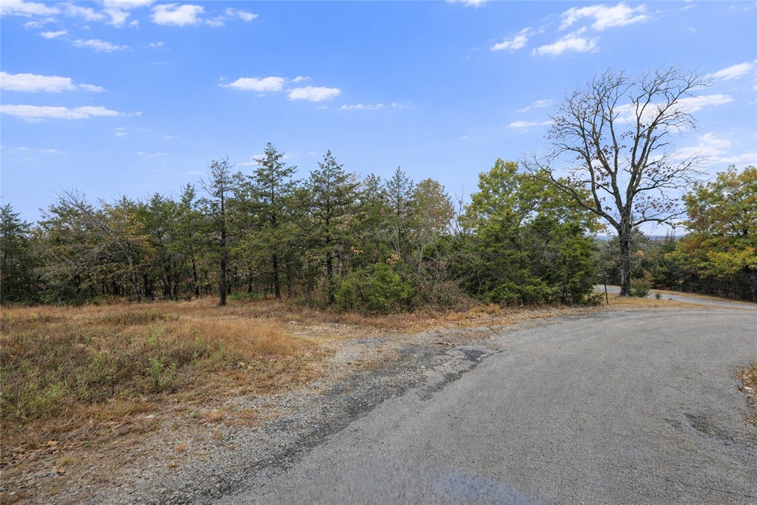 LAKEVIEW ADD LAKE BS ES - Land