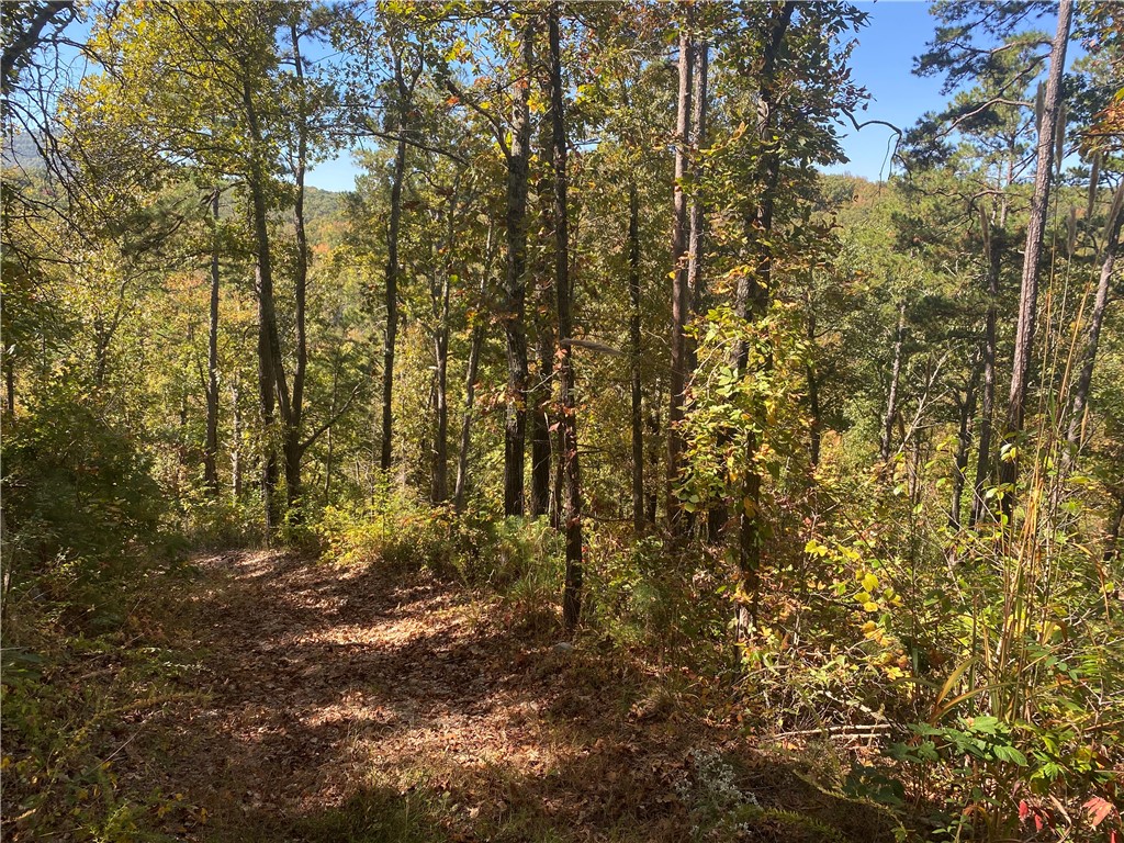 +/-39 acres with great views of the surrounding mountains in beautiful Newton County in the Buffalo National River region of the Ozark Mountains of Arkansas. Perfect location being only 2.3 miles from Jasper. The property borders Spider Creek on one side. Utilities on the property. Previous home spot ready to place your RV. Multiple building sites for your home or investment rental property. Existing road and trails throughout the property. Abundance of wildlife for hunting or viewing to include turkey and deer. The property is located just 6.3 miles from the Hasty Public Access and only 11.6 miles from the Carver Access of the Buffalo National River for canoeing and fishing. Located in Newton County and Heart of the Ozark Mountains. Near the Ozark National Forest which provides many recreational opportunities to include hiking, hunting, horseback riding, bike riding or ATV riding.