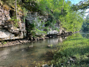 All boxes are checked with this little gem of a property. Featuring seclusion, privacy, diverse habitat for wildlife, a year-round creek, and borders thousands of acres of Cherokee WMA on its north side. Just WOW! County road frontage and readily available utilities will make it very easy to build a cabin or your forever home. You will be in awe when driving into the property through the beautiful pastures lined with young timber and thickets and ultimately greeted with that amazing year-round creek at the end. It's real easy how this property sets up perfectly to attract wildlife that this area is known for, including deer, turkey, and bear. The layout of the property sets up well for a great build site near the entrance with and positioning your wildlife sanctuary between you