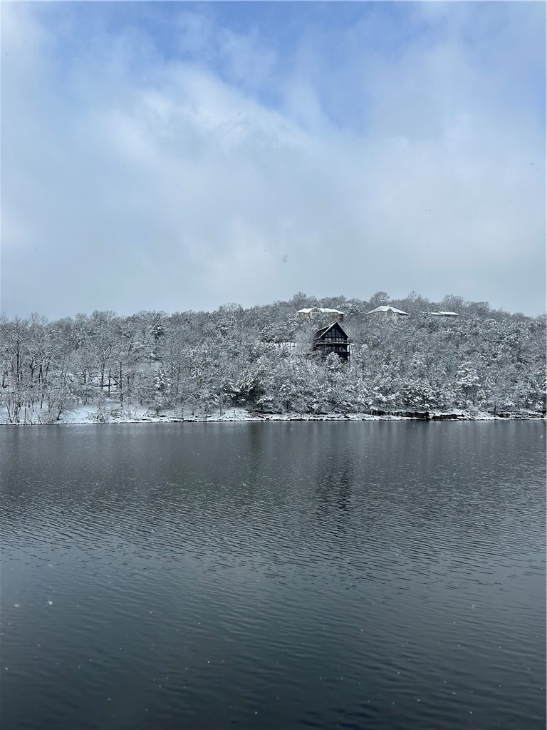 Unit 301 Holiday Island - Land