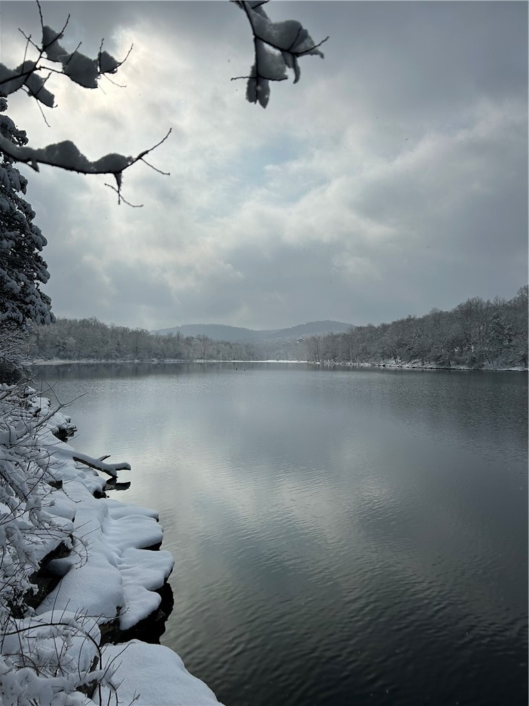 Unit 301 Holiday Island - Land