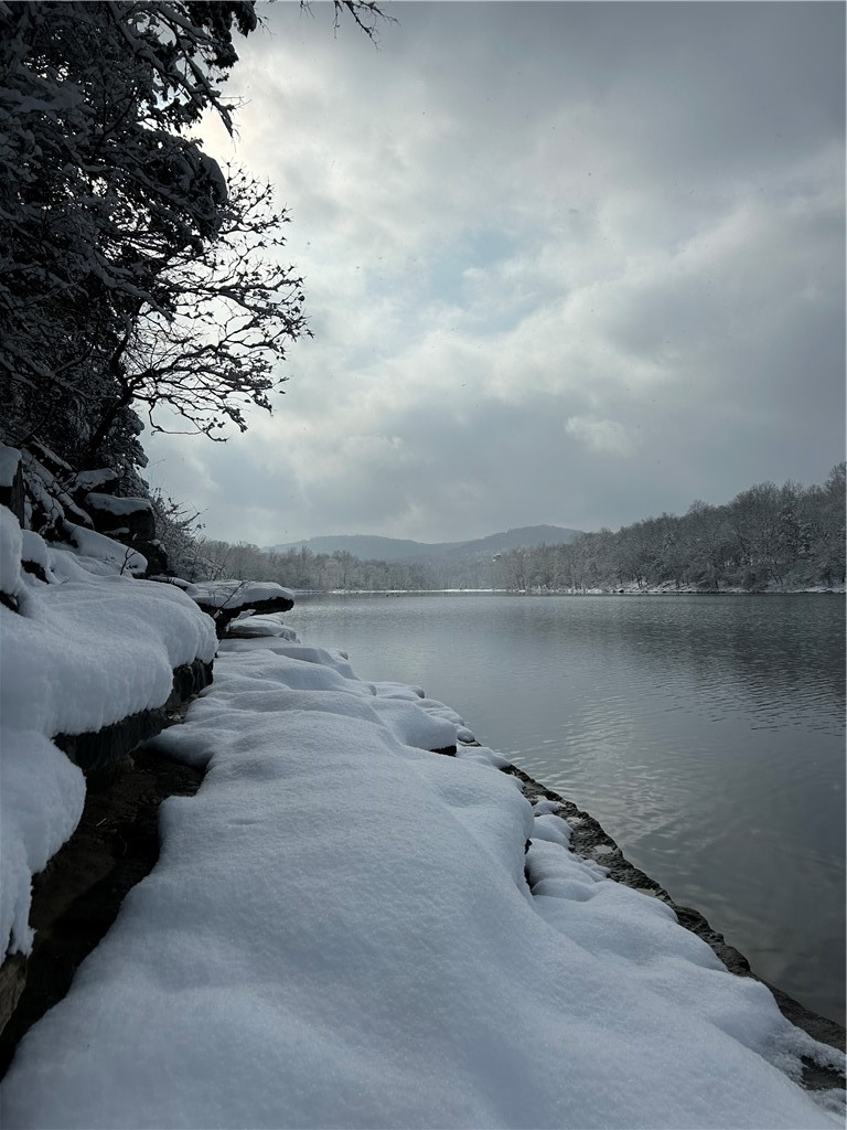 Unit 301 Holiday Island - Land