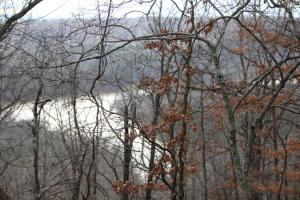 Great wooded parcel of land overlooking the Long Creek Arm of Table Rock Lake. Would make a great place to build a cabin.