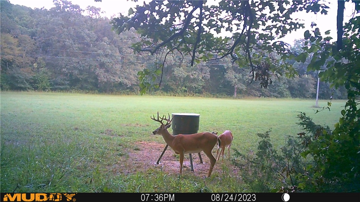 12-13-32 - Residential