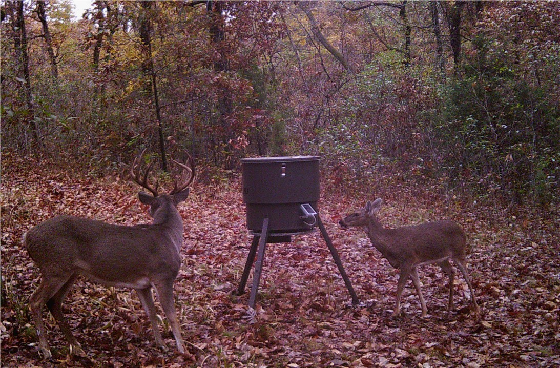 12-13-32 - Residential