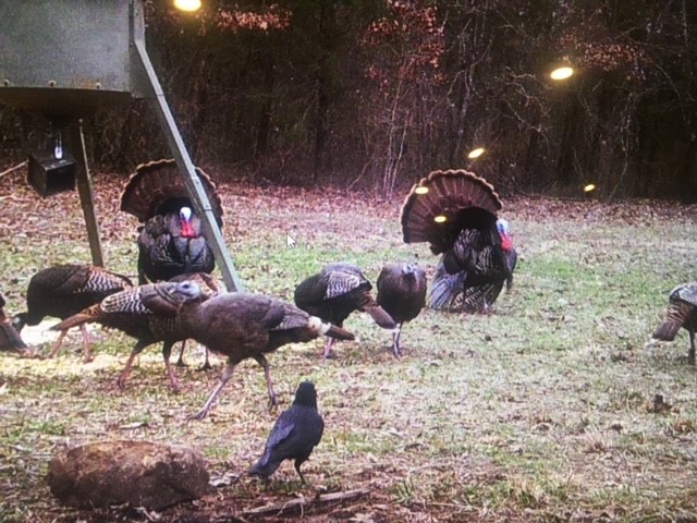 12-13-32 - Residential