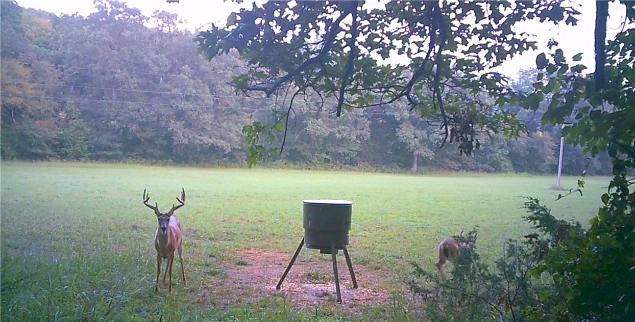 12-13-32 - Residential