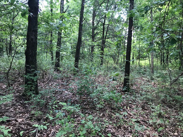 Great location near Highlands Golf Course, Clubhouse & Branchwood Rec. Center. Gentle sloping lot sits on a quiet street in a nice neighborhood. Enjoy all of Highlands Bella Vista amenities just moments away.