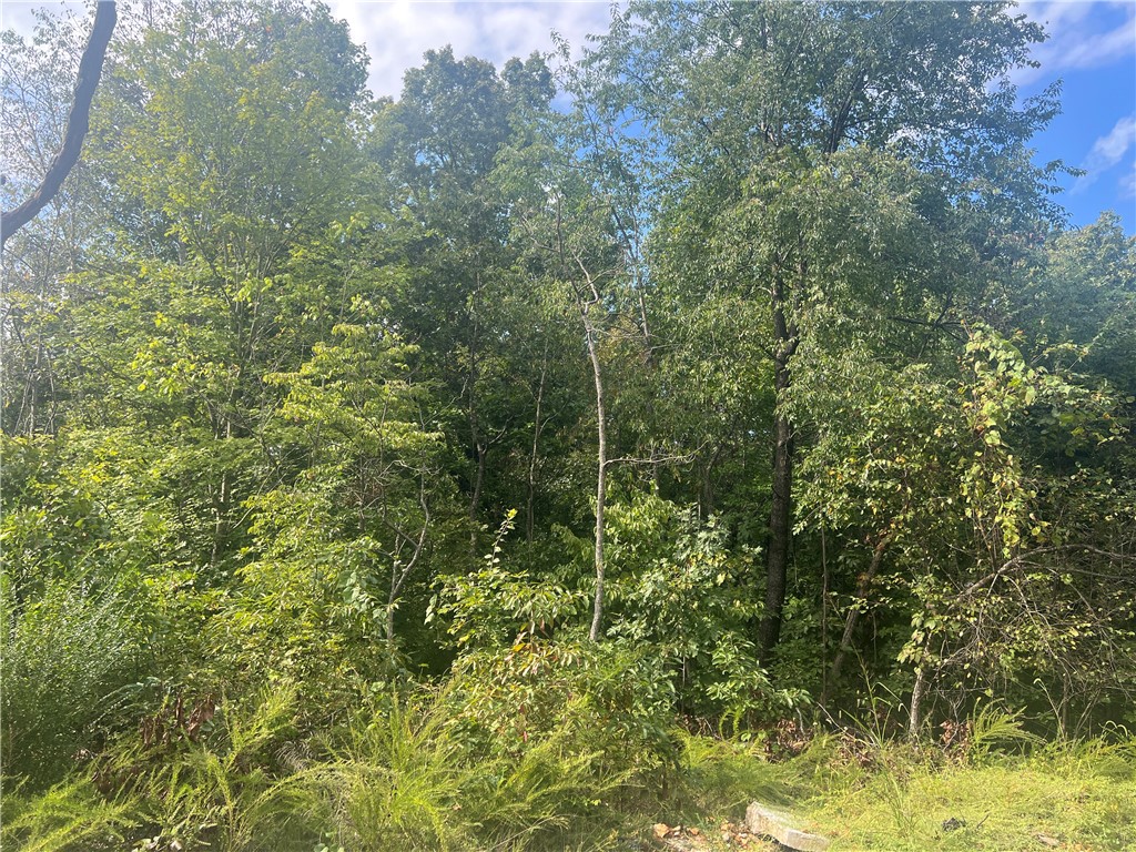 Canterbury Sub Bvv - Land