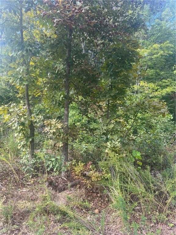 Canterbury Sub Bvv - Land