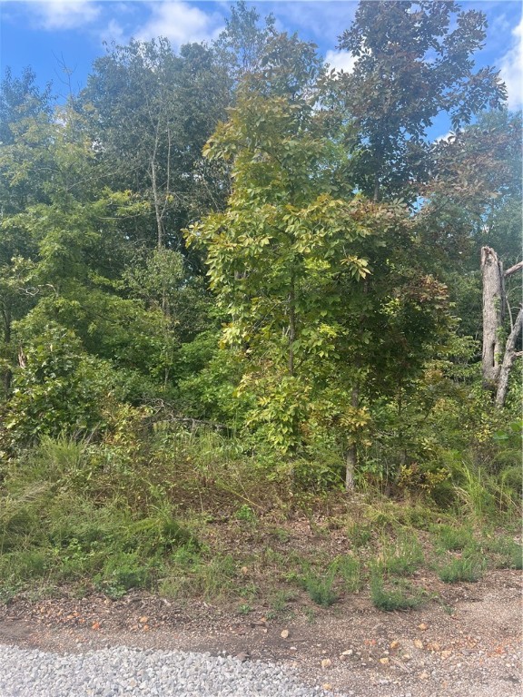 Canterbury Sub Bvv - Land