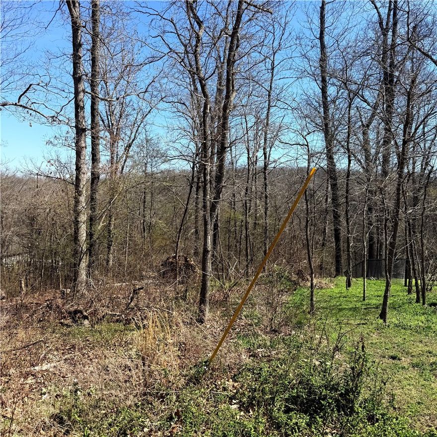 Come Check out this beautiful lot in Bella Vista. Nestled with trees, serenity and nature. You’ll see a relaxing peaceful feel for your new home. Not far from Tunnel Vision MTB Trail.