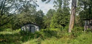 Secluded spot for your double wide or build a new home. 4.2 acres with an old double wide (in need of tearing down) sits of the property. There are a few other out buildings and septic, water and electric appear to be in place. Buyer to confirm utilities. Property to be sold as is. No disclosure to be provided.