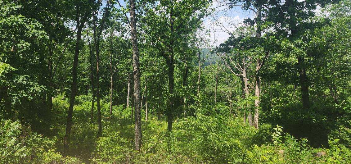 Round Mountain Estates - Land