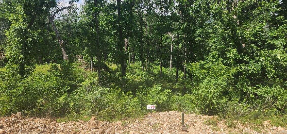 Round Mountain Estates - Land