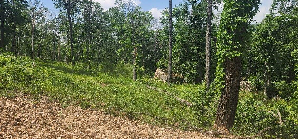 Round Mountain Estates - Land