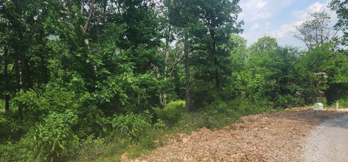 Round Mountain Estates - Land