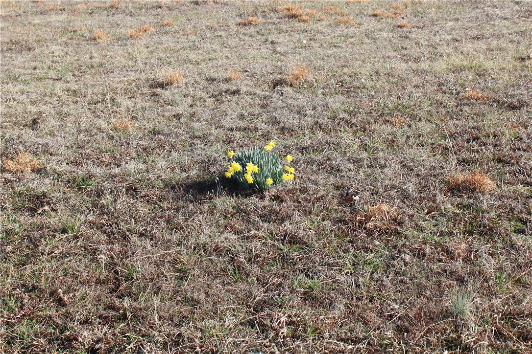 Not in Subd - Residential