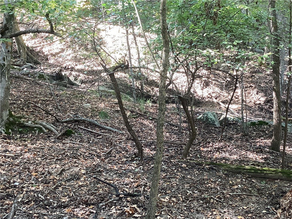 Lost Bridge Village Rurban - Land