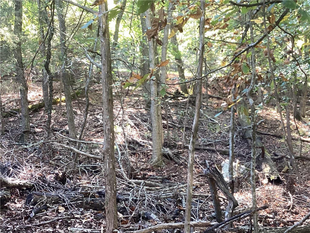 Lost Bridge Village Rurban - Land