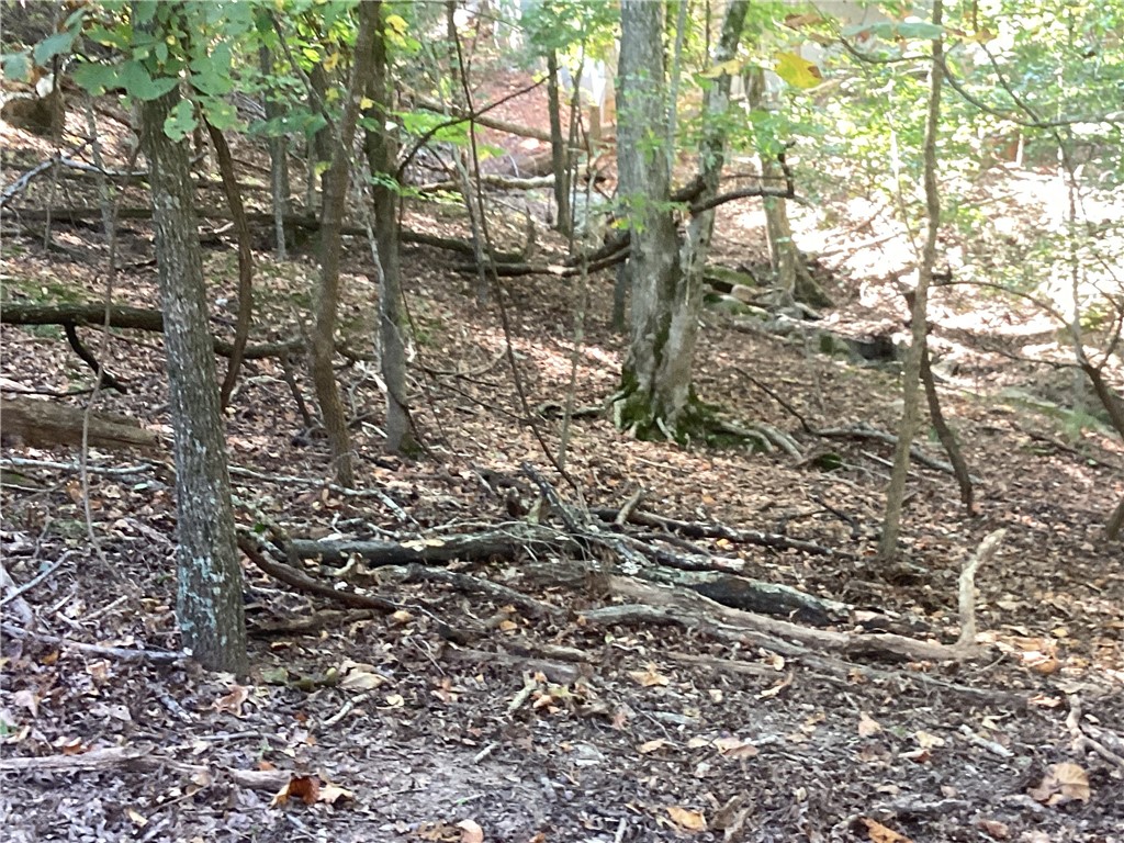 Lost Bridge Village Rurban - Land